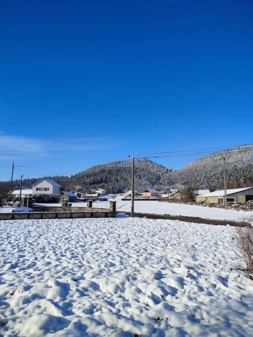 Gite Cosy Avec Avec Jardin Et Parking Privatifs - Hautes Vosges Saint-Amé Kültér fotó