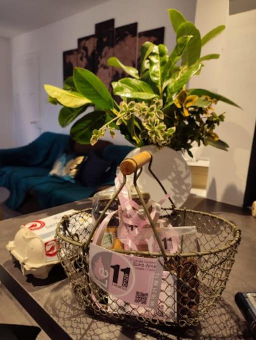 Gite Cosy Avec Avec Jardin Et Parking Privatifs - Hautes Vosges Saint-Amé Kültér fotó