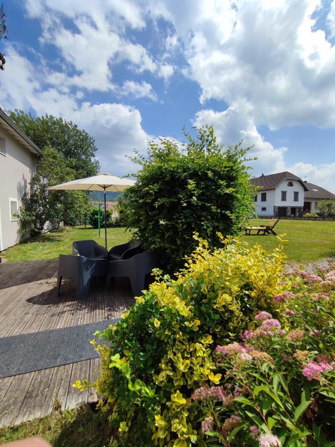 Gite Cosy Avec Avec Jardin Et Parking Privatifs - Hautes Vosges Saint-Amé Kültér fotó