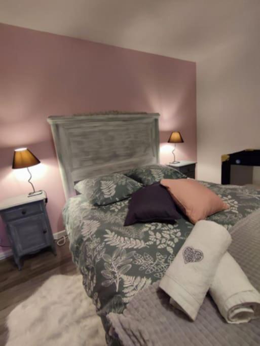 Gite Cosy Avec Avec Jardin Et Parking Privatifs - Hautes Vosges Saint-Amé Kültér fotó